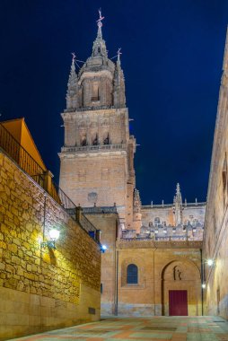 İspanya, Salamanca Katedrali 'nin çan kulesinin gün batımı manzarası