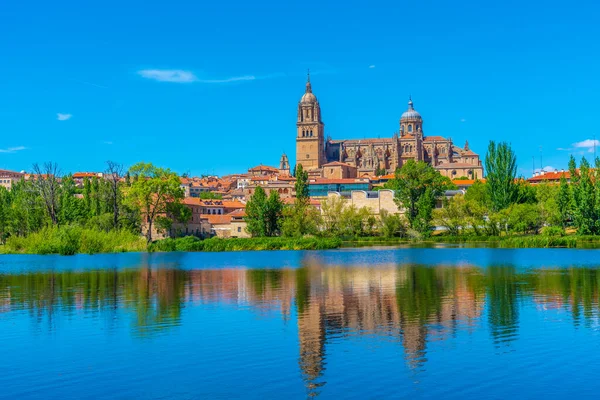 Catedral Salamanca Reflejada Río Tormes España — Foto de Stock