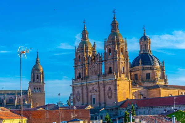 Catedral Salamanca España —  Fotos de Stock
