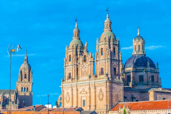 Cathedral Salamanca Spain — Stock Photo, Image