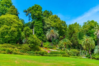 Tremezzo, İtalya 'daki Villa Carlotta' da botanik bahçesi.