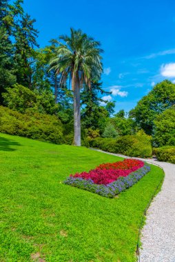 Tremezzo, İtalya 'daki Villa Carlotta' da botanik bahçesi.