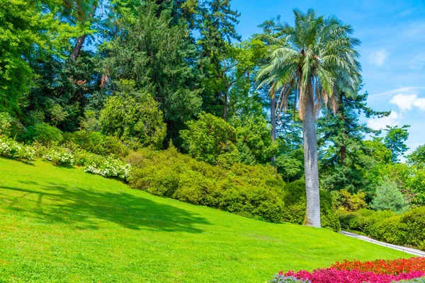 Tremezzo Talya Daki Villa Carlotta Botanik Bahçesi — Stok fotoğraf