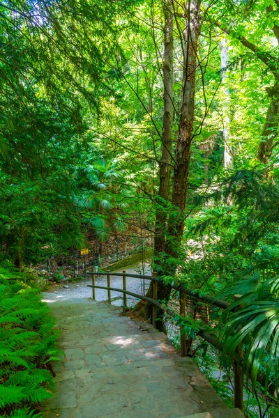 Jardin Botanique Villa Carlotta Tremezzo Italie — Photo