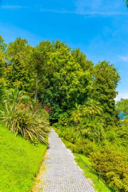Tremezzo, İtalya 'daki Villa Carlotta' da botanik bahçesi.