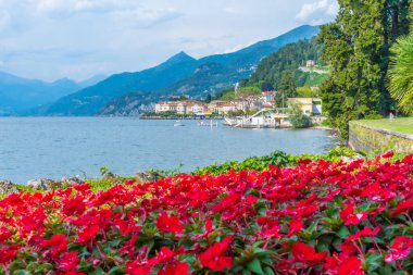 Bellagio İtalya, Bellagio 'daki Villa Melzi' deki Botanik Bahçesinden izlendi