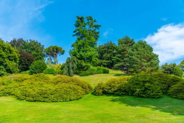 İtalya Bellagio 'daki Villa Melzi' de botanik bahçesi.