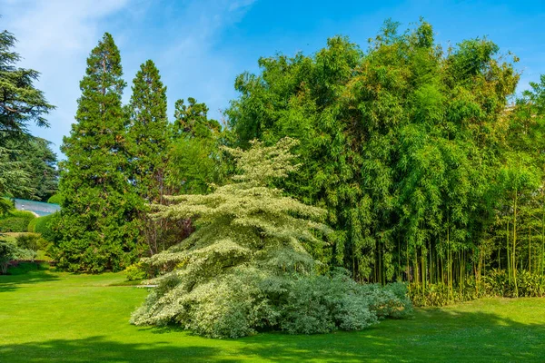 Botanisk Trädgård Villa Melzi Bellagio Italien — Stockfoto