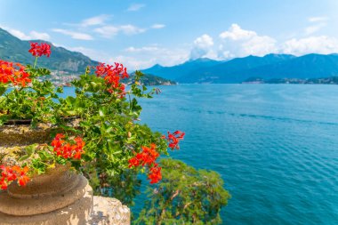 Bellagio çiçeklerin arkasında, İtalya
