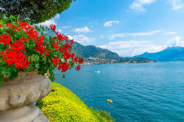 Tremezzo viewed behind flowers, Italy
