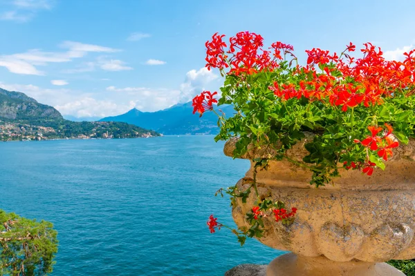 Tremezzo花の後ろに見える イタリア — ストック写真
