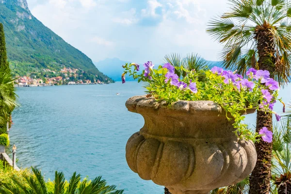 Lago Como Visto Por Trás Flores Vila Monastero Varenna Itália — Fotografia de Stock