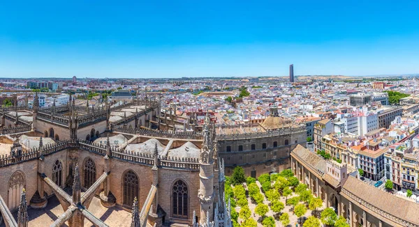 Uteplats Los Naranjos Vid Katedralen Sedd Från Giralda Torn Sevilla — Stockfoto