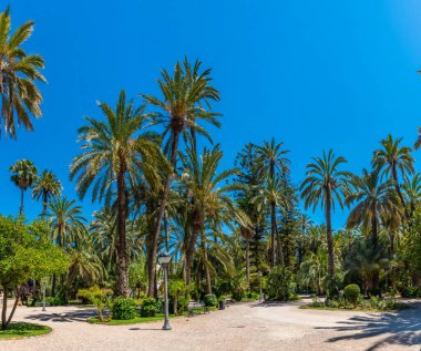 Elche, Spai 'deki El Palmeral belediye parkı manzarası