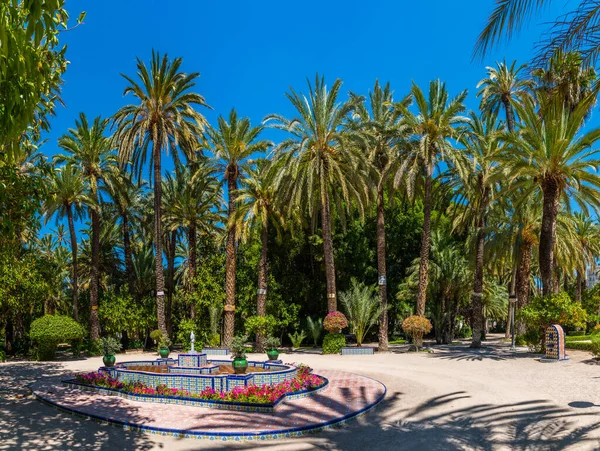 Utsikt Över Palmerals Stadspark Elche Spai — Stockfoto