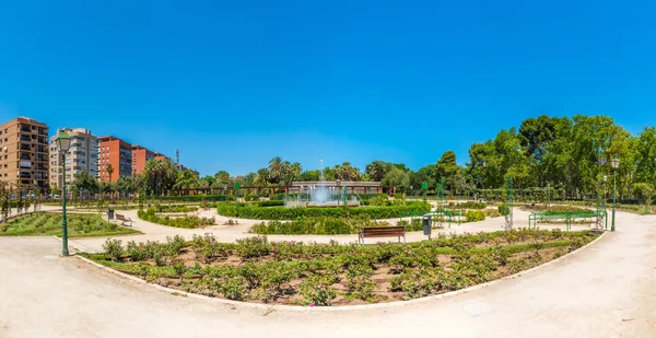 Spanyol Şehri Valenci Deki Royal Gardens Gül Bahçesi — Stok fotoğraf