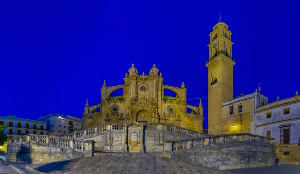 Vista Noturna Catedral Santo Salvador Jerez Frontera Spai — Fotografia de Stock