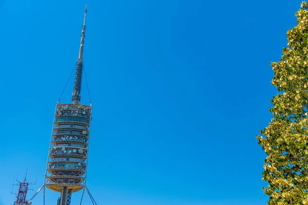 Wieża Telekomunikacyjna Torre Collserola Barcelonie Hiszpania — Zdjęcie stockowe