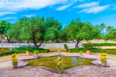 İspanya 'da Jerez de la Frontera' daki Villavicencio Sarayı 'nın önündeki bahçe.