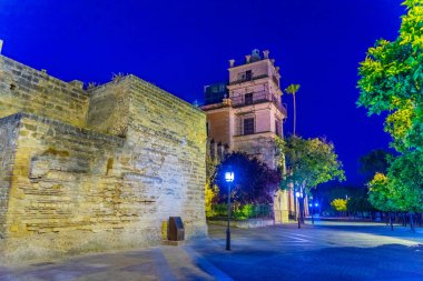 İspanya 'daki Jerez de la Frontera' daki Alcazar kalesinin gece görüşü