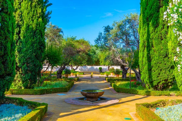 Jardín Frente Palacio Villavicencio Jerez Frontera España — Foto de Stock