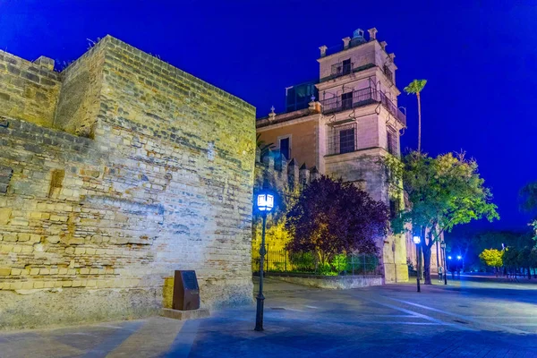 Vista Nocturna Del Castillo Alcázar Jerez Frontera España — Foto de Stock