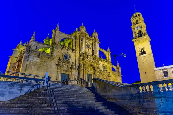 Nachtzicht Kathedraal Van Heilige Redder Jerez Frontera Spanje — Stockfoto