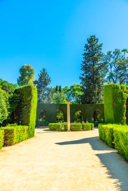 İspanya 'da Gerçek Alcazar de Sevilla Bahçeleri