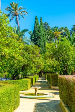 İspanya 'daki Real Alcazar de Sevilla bahçelerindeki çeşme