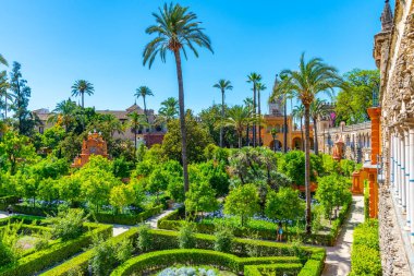 İspanya 'da Real Alcazar de Sevilla' daki Galeria de Grutesco 'ya bitişik güzel bir bahçe.