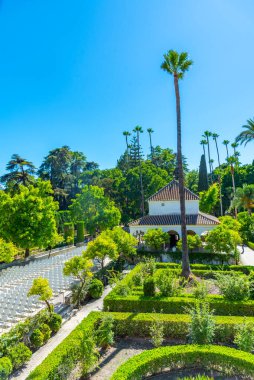 İspanya 'da Real Alcazar de Sevilla' daki Galeria de Grutesco 'ya bitişik güzel bir bahçe.