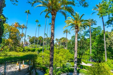 İspanya 'da Real Alcazar de Sevilla' daki Galeria de Grutesco 'ya bitişik güzel bir bahçe.