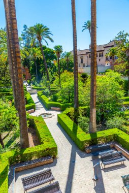 İspanya 'da Real Alcazar de Sevilla' daki Galeria de Grutesco 'ya bitişik güzel bir bahçe.