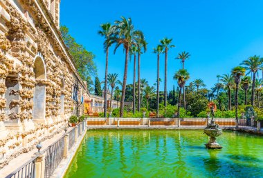 İspanya 'daki gerçek Alcazar de Sevilla çeşmesinde.