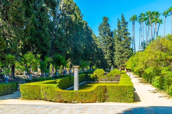 Jardines Del Real Alcázar Sevilla España — Foto de Stock