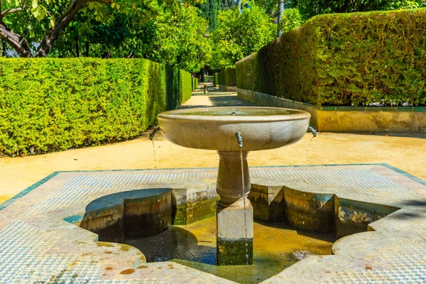 Fontän Vid Trädgårdar Real Alcazar Sevilla Spanien — Stockfoto