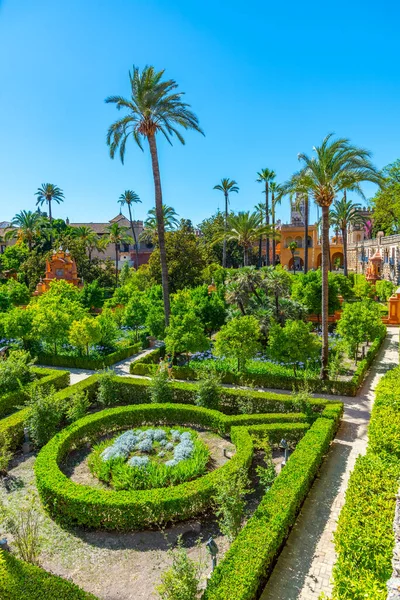 Vacker Trädgård Anslutning Till Galeria Grutesco Real Alcazar Sevilla Spanien — Stockfoto