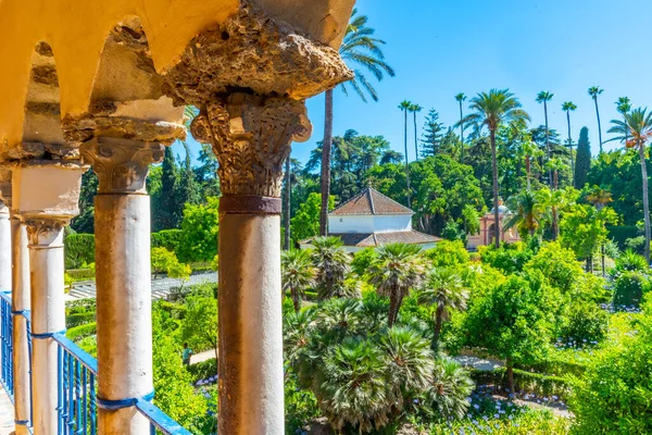 Schöner Garten Neben Der Galeria Grutesco Real Alcazar Sevilla Spanien — Stockfoto