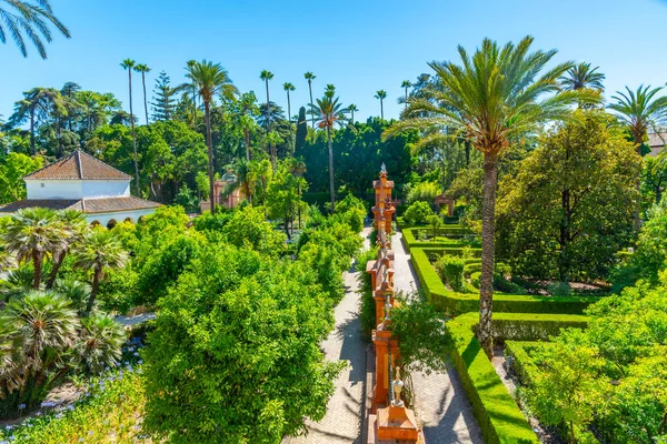 Krásná Zahrada Vedle Galeria Grutesco Real Alcazar Sevilla Španělsku — Stock fotografie