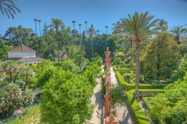 Vacker Trädgård Anslutning Till Galeria Grutesco Real Alcazar Sevilla Spanien — Stockfoto