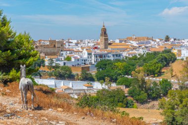 İspanya 'nın Carmona kentinin manzarası
