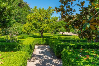 Granada, İspanya 'daki Casa del Chapiz' de bahçe.