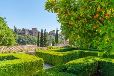 Granada, İspanya 'daki Casa del Chapiz' de bahçe.