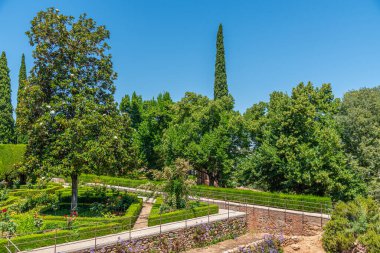 Jardines del Partal Granada, İspanya 'daki Alhambra Sarayı' nın içinde.