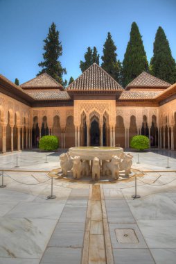 İspanya Granada 'daki Nasrid Alhambra Kalesi' nin içindeki Patio de los Leones.