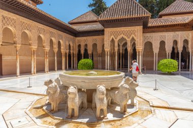İspanya Granada 'daki Nasrid Alhambra Kalesi' nin içindeki Patio de los Leones.