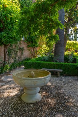 Jardin de Los Adarves Granada, İspanya 'daki Alhambra kalesinde.