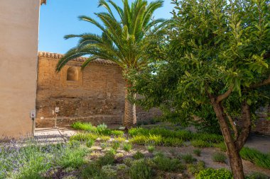 İspanyol şehri Granada 'daki Palacio de Dar al-Horra' daki bahçe.