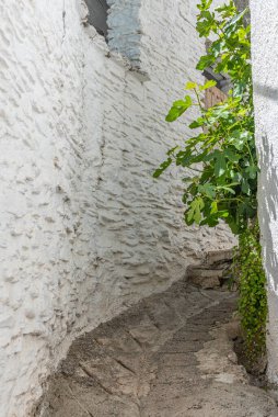 İspanya 'daki Capileira köyünün tipik beyaz caddesi.