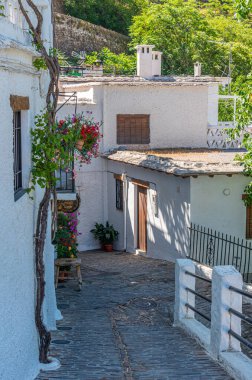 İspanya 'nın Pampaneira köyünün tipik beyaz caddesi